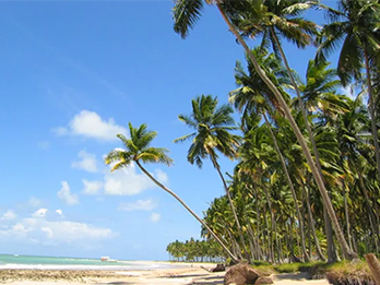 Atrações em Recife - City Tour Recife e Olinda